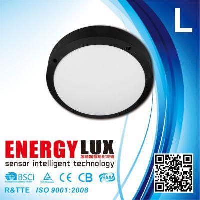 E-L18e 20W Outdoor Aluminium Wall Ceiling Emergency LED Light