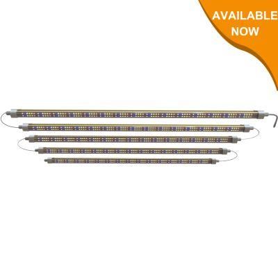Samsung Strip Indoor Quantum High Power Horticulture Board Lamp Full Spectrum Growing Plant Wholesale LED Grow Light Pvisung CREE Cxb 3500K
