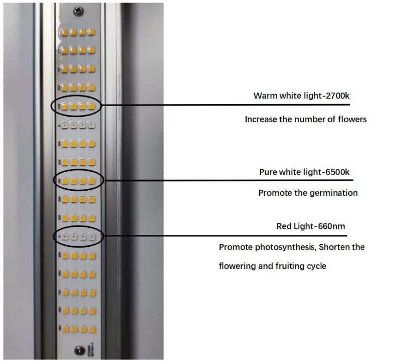 600W Full Spectrum LED Grow Light for Medical Seedling Plant Growing, Horticulture Light for Indoor Farming with CCC