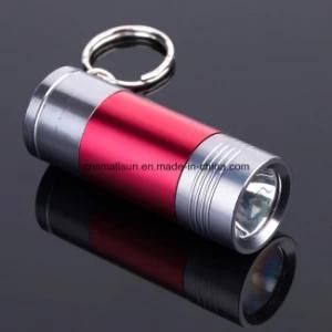 Key Chain Flashlight with Tail Switch