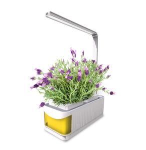 Multifunctional Lazy Flower Flowerpot Intelligent Plant Growth Lamp Vegetable Planting Lamp