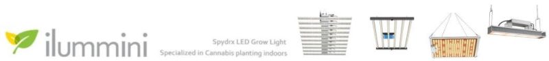 Ilummini 2021 High Quality Ppf 640W 600W Samsung Lm301h LED Grow Lights Full Spectrum Grow Light Bar