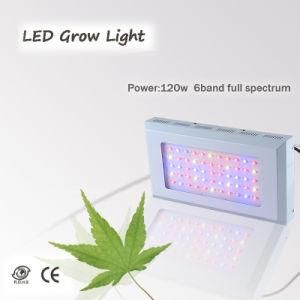 Blackstar 180W LED Grow Light, Full Spectrum for Flowering &amp; Vegetable
