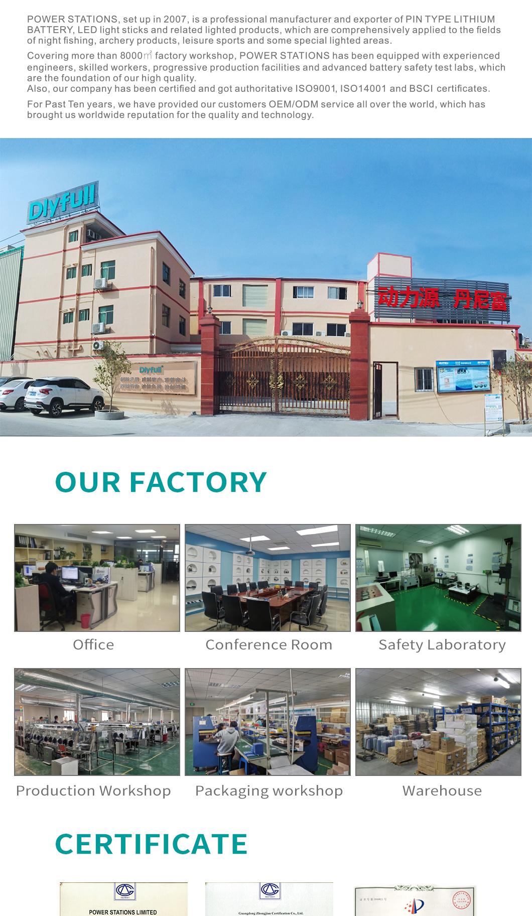 Dlyfull Pin Type Cell Factory Direct Selling Lithium Battery