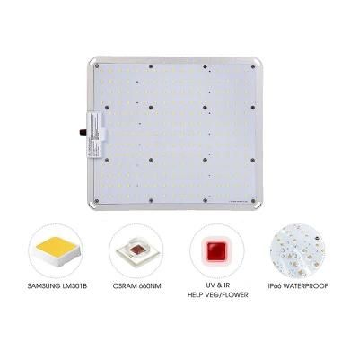 High Power Indoor Dimmable Hydroponic LED Grow Light for Indoor Plants Growing Flower