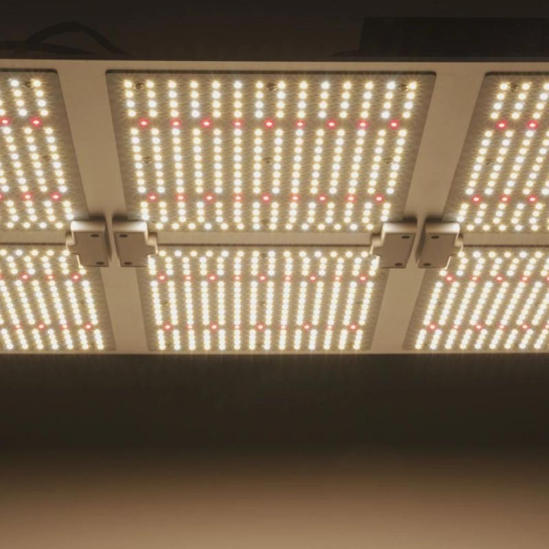 Full Spectrum 100W 200W 400W 600W High Bay LED PAR Garden Grow Lamp Panel Light for Medical Herbs