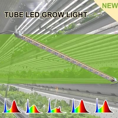 Samsung Strip Indoor Quantum High Power Horticulture Board Lamp Full Spectrum Growing Plant Wholesale LED Grow Light Pvisung LED Quantum Board