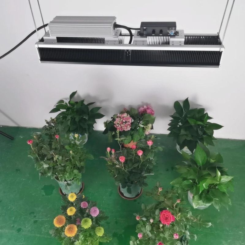 Powerful 320W Full Spectrum Fluence LED Grow Light for Greenhouse