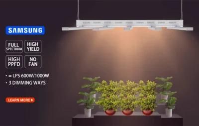 Hot Sale Grow LED Light 600W 800W 1000W