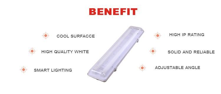 IP65 Fluorescent Tube Light Fitting with Mirror Reflector