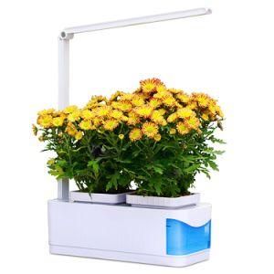 Creative Indoor Plant LED Grow Light Hydroponic