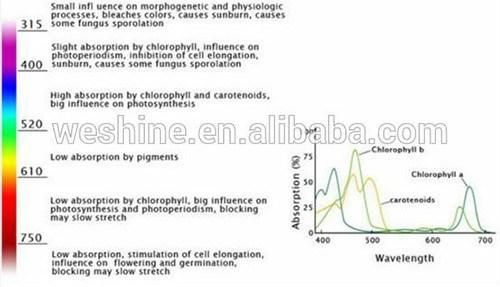 Shenzhen Manufacture 24W LED Grow Light for Inreasing Yield