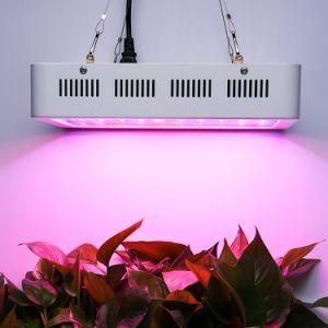 2017 Hot Sale Best Grow Light for Indoor Plant