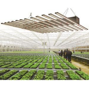 Dimmable Plant Grow LED Light Plant LED Full Spectrum Grow Lights