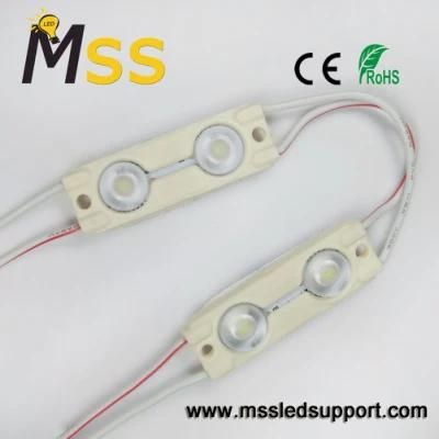 Hot Selling 2 SMD 2835 Optical Module Light Backlight LED Module