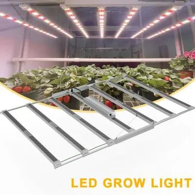 Full Spectrum Hydroponic Vertical Farming System Pvisung LED Lighting