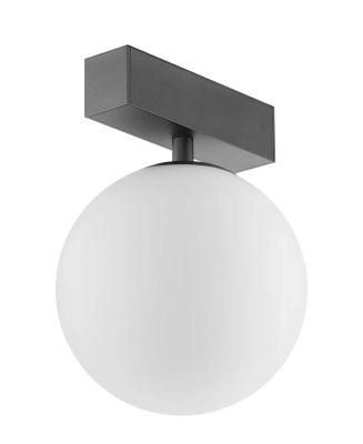 Magnetic Track Light System Pendant Gloal Light Source Serials