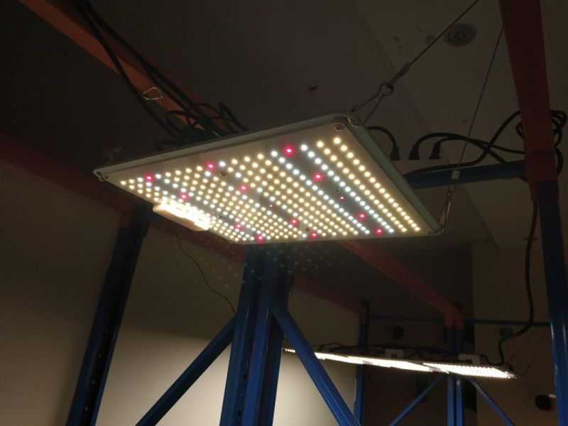 100W Prue Aluminum LED Grow Light with UL Certification and 3 Years Warranty