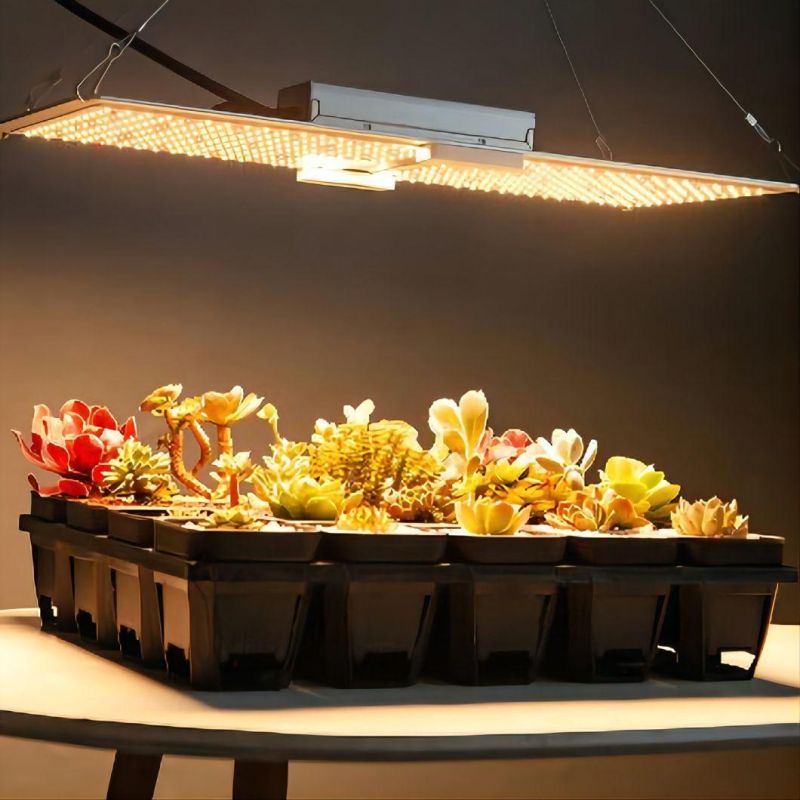 200W Morden and Different Design LED Growth Lighting with UL Certifition in The Horticulture