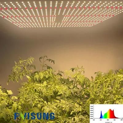 Leafy Greens Pot Culture Bonsai Clone Seedlings LED Grow Panel LED Grow PAR Light Samsung Diode Grow Light Waterproof