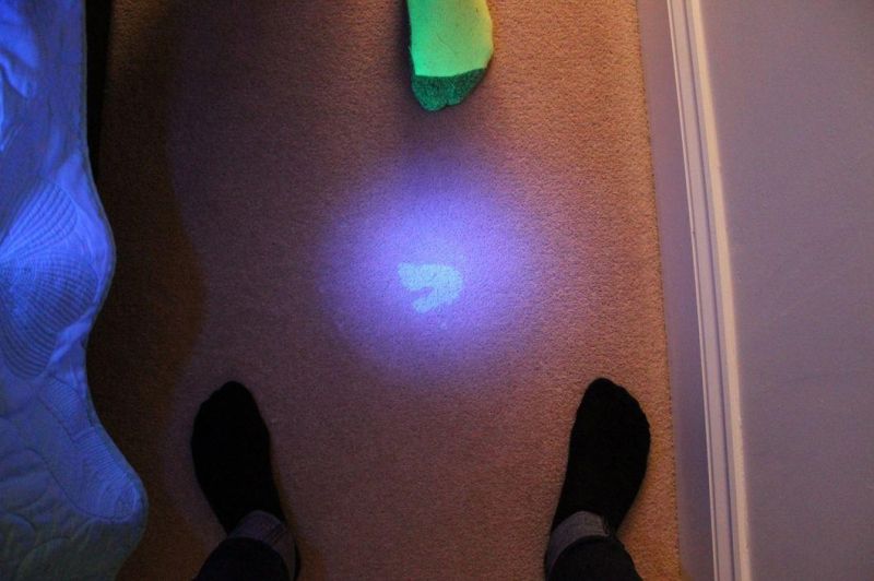 12 LED UV Torch to Find Stain Urine Scorpion Detector Blacklight Ultra Violet Flashlight