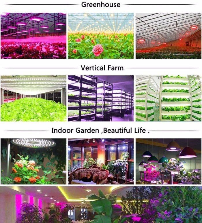 Plant Lighting 100W LED Grow Light Quantum Board with Reflector