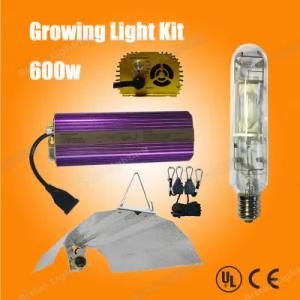 Hydroponic Growing Light Lamp 600W Mh Kits