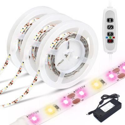 DC 12V SMD 2835 Full Spectrum 120 Degrees Beam Angle LED Grow Light Strip for Indoor Plant 24W Per Reel 3m Length