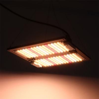 Indoor Osram 120W LED Grow Light Samsung Full Spectrum Lm301b Quantum Boards Light for Hydroponics Grow Tent with ETL