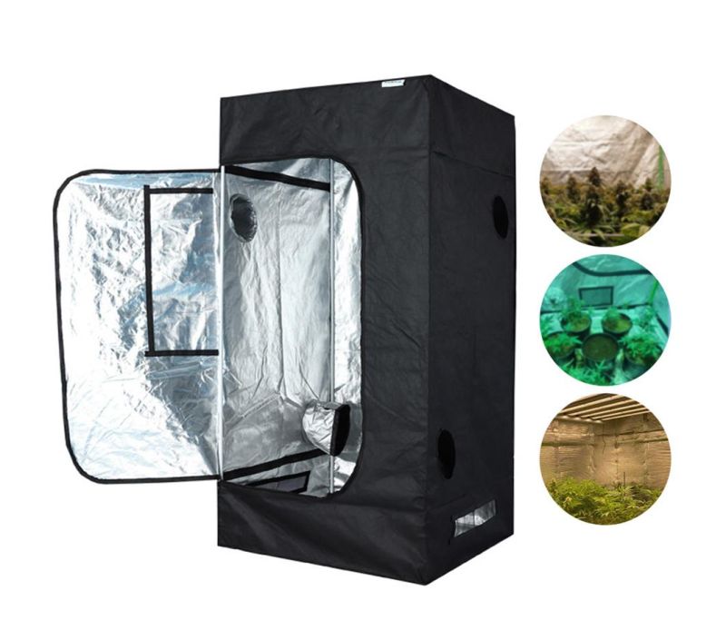 Indoor Grow Tent 4*4 FT for Medical Herb