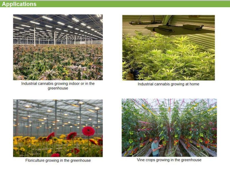 Best Sale Osram Hydroponics 640W LED Grow Light for Plant Flowering (Bloom)