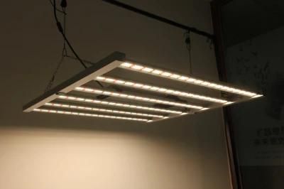 Osram 2.3 Umol Lm301h 2021 Full Spectrum UV IR LED Grow Lights Hydroponics Growing System Indoor LED Professional Lighting