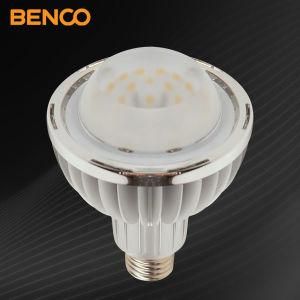 LED PAR Light (BC-PAR15W-CW)