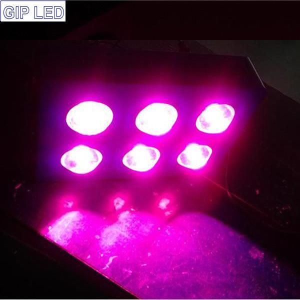 765W COB LED Grow Light Full Spectrum for Hemp Medical Plant