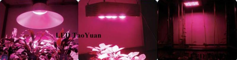 AC220V Greenhouse LED Grow Light 380-840nm 200W Agricultural LED Lamp