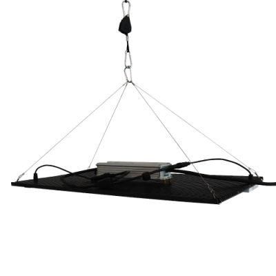 Best Commercial Horticulture Greenhouse Meanwell 240W Quantum Board LED Grow Light &amp; GOST