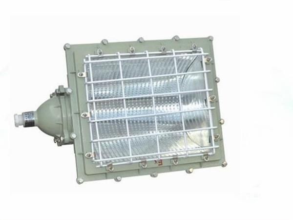 Simva High Quality Flame Proof Fluorescent Lamp, Ex-Proof Flood Light Lamp, Electrical Lamps Explosion Proof Floodlight Lamp