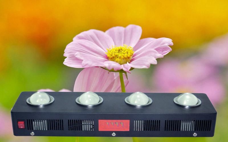 Customizable LED Grow Light 504W with 4PCS 126W Epileds