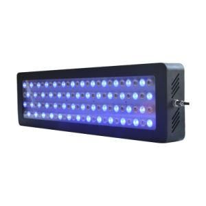 Sunsrise Sunset 150W~300W Intelligent Aquarium LED