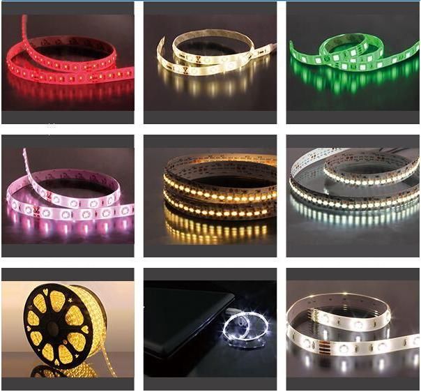 Made in China with Factory Price LED Lighting Strip Decoration Indoor