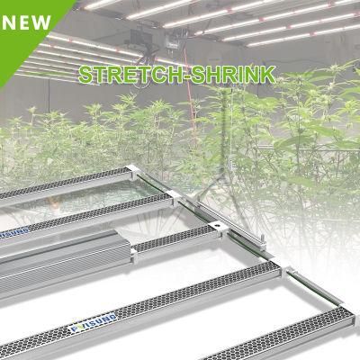 730W 301d Samsung Full Spectrum Indoor Farming Greenhouse Hydroponic Systems Plant LED Lamp Bar Grow Panel Pvisung 2022 LED Grow Light