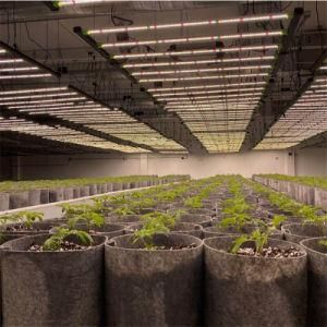 Samsung Osram 1000 Watt LED Foldable Mh Grow Light Double Ended