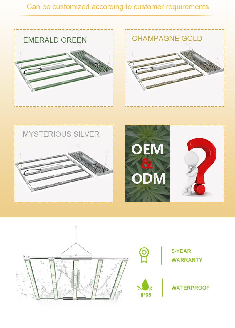 Hydroponic Vertical Farming System Samsung Lm301h Lm301b Full Spectrum Flowering Bars LED Grow Light for Indoor Weed Medical Plan Pvisung Grow Lights LED Indoor