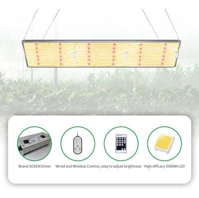 100W/200W/300W LED Panel Light for Indoor Greenhouse Tent