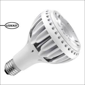 &gt;80lm/W 220V COB LED Spot Light Die-Cast Al Housing 30W PAR30 Spot Light Bulb for Retails