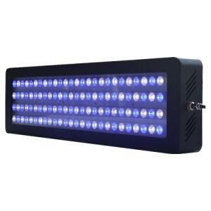 High Power 300W Aquarium Lighting 2ft 3ft Can Be Design