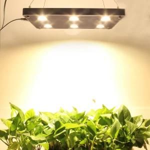 Cool and Fashion Appearance Without Noise Quiet Indoor 540W Lumens LED Blacksun LED Grow Light