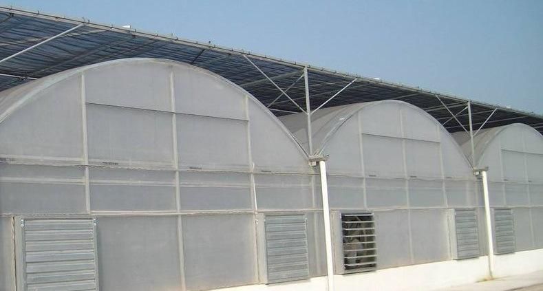 Fixed Greenhouse LED Grow Light for Vegetables