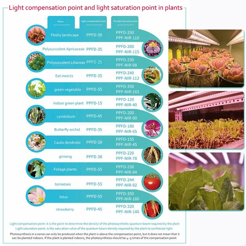 LED Plants Light 1200mm Fleshy Vegetables and Flowers Grow Light in Greenhouse T8 Lamps