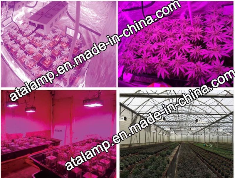 Full Spectrum Double Switch Plant Light for Indoor Plants Veg and Flower- 150W/300W/400W/600W/700W/900W/1000W/1200W LED Grow Light for Greenhouse Plants